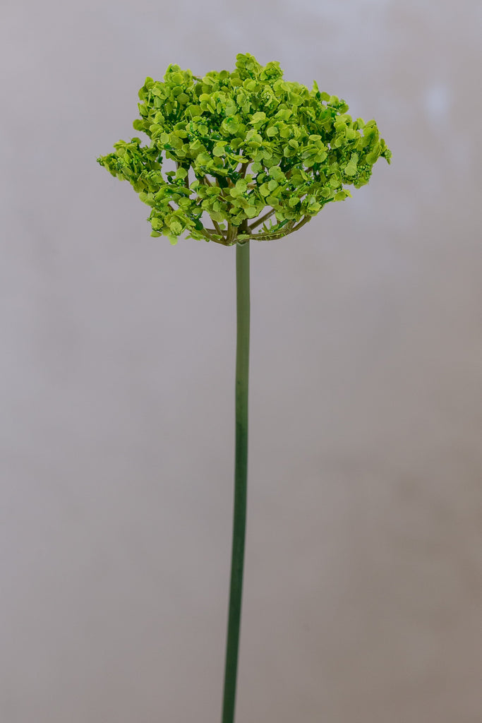 Coco's Plantation 18" Single SM Queen Ann Lace Green - Casa Febus - Home • Design