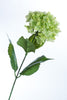 Coco's Plantation 26.5" Hydrangea - Green - Casa Febus - Home • Design