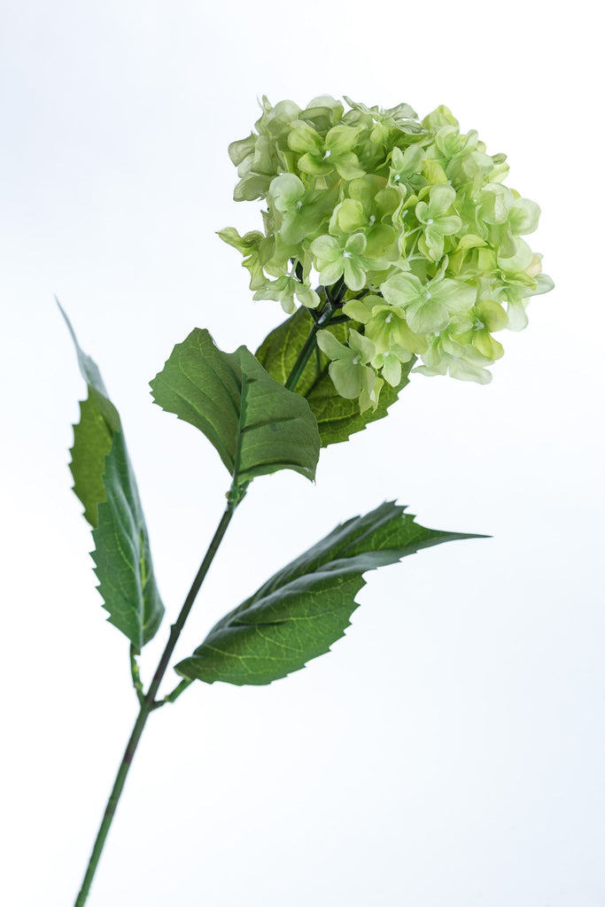 Coco's Plantation 26.5" Hydrangea - Green - Casa Febus - Home • Design