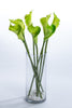 Coco's Plantation 21" Calla Lily Stem - Green - Casa Febus - Home • Design