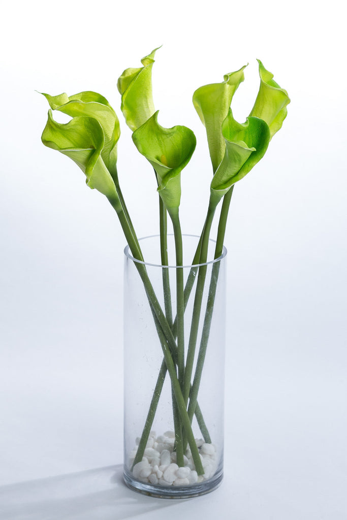 Coco's Plantation 21" Calla Lily Stem - Green - Casa Febus - Home • Design