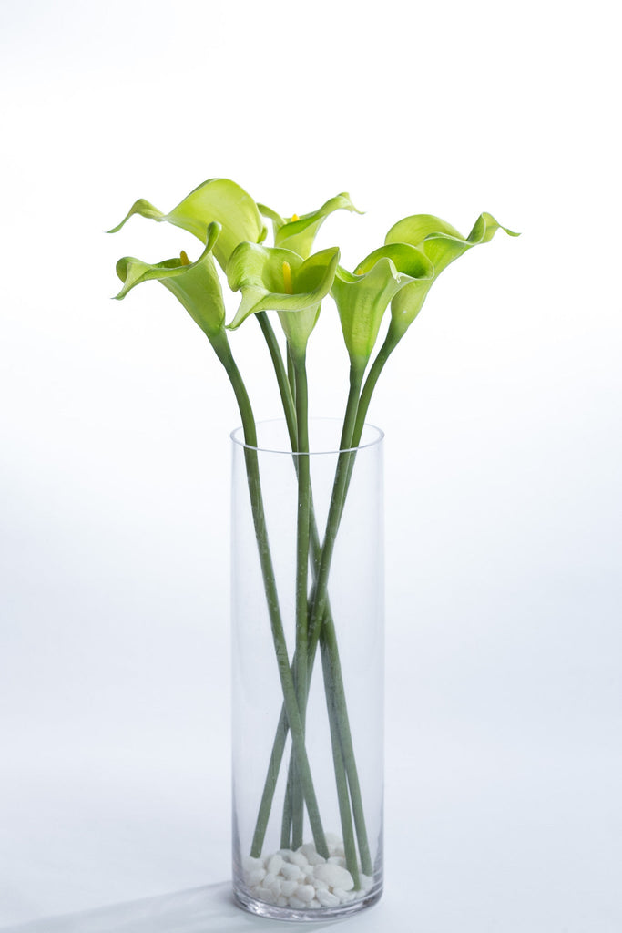 Coco's Plantation 24" Calla Lily Stem - Green - Casa Febus - Home • Design