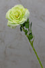 18" Garden Rose Stem Green - Casa Febus - Home • Design