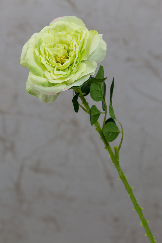 18" Garden Rose Stem Green - Casa Febus - Home • Design