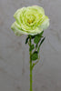 18" Garden Rose Stem Green - Casa Febus - Home • Design