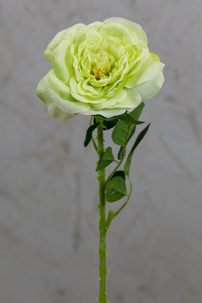 18" Garden Rose Stem Green - Casa Febus - Home • Design
