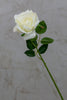 16" Bourbon Rose Cream - Casa Febus - Home • Design