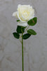 16" Bourbon Rose Cream - Casa Febus - Home • Design