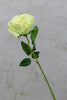 16" Bourbon Rose Green - Casa Febus - Home • Design