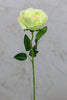 16" Bourbon Rose Green - Casa Febus - Home • Design