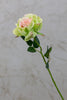 16" Bourbon Rose Pink/Green - Casa Febus - Home • Design