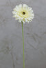 22" Gerbera Daisy Stem - Cream - Casa Febus - Home • Design