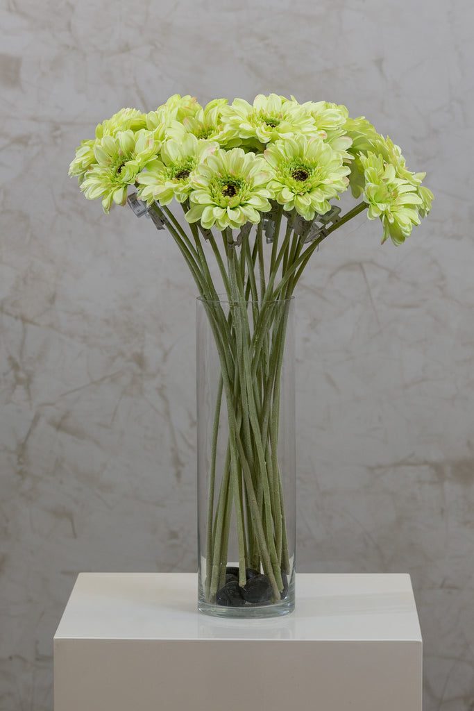 22" Gerbera Daisy Stem - Green - Casa Febus - Home • Design