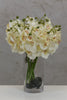 22" Catleya Orchid Stem - Cream - Casa Febus - Home • Design