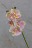 22" Catleya Orchid Stem - Pink - Casa Febus - Home • Design
