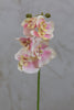 22" Catleya Orchid Stem - Pink - Casa Febus - Home • Design