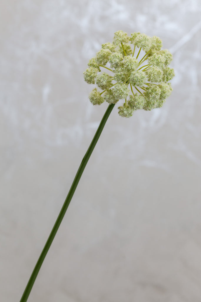 Coco's Plantation 30" Flower Stem White - Casa Febus - Home • Design