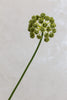 Coco's Plantation 30" Flower Stem Green - Casa Febus - Home • Design