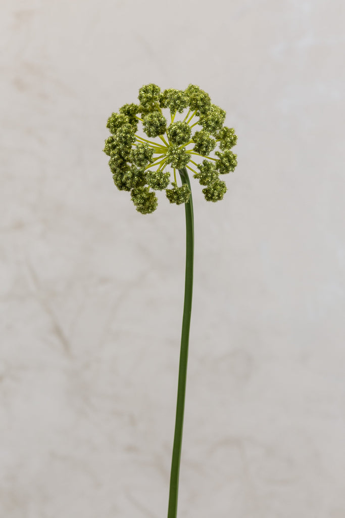 Coco's Plantation 30" Flower Stem Green - Casa Febus - Home • Design